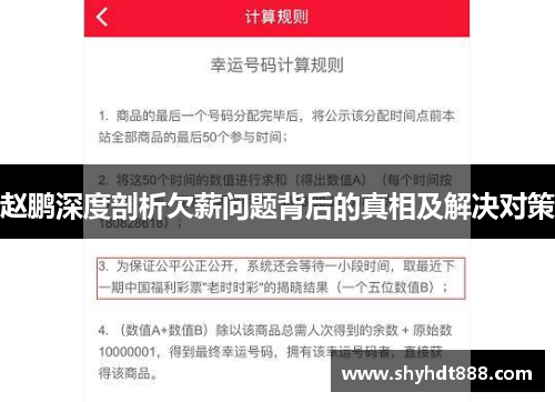 赵鹏深度剖析欠薪问题背后的真相及解决对策